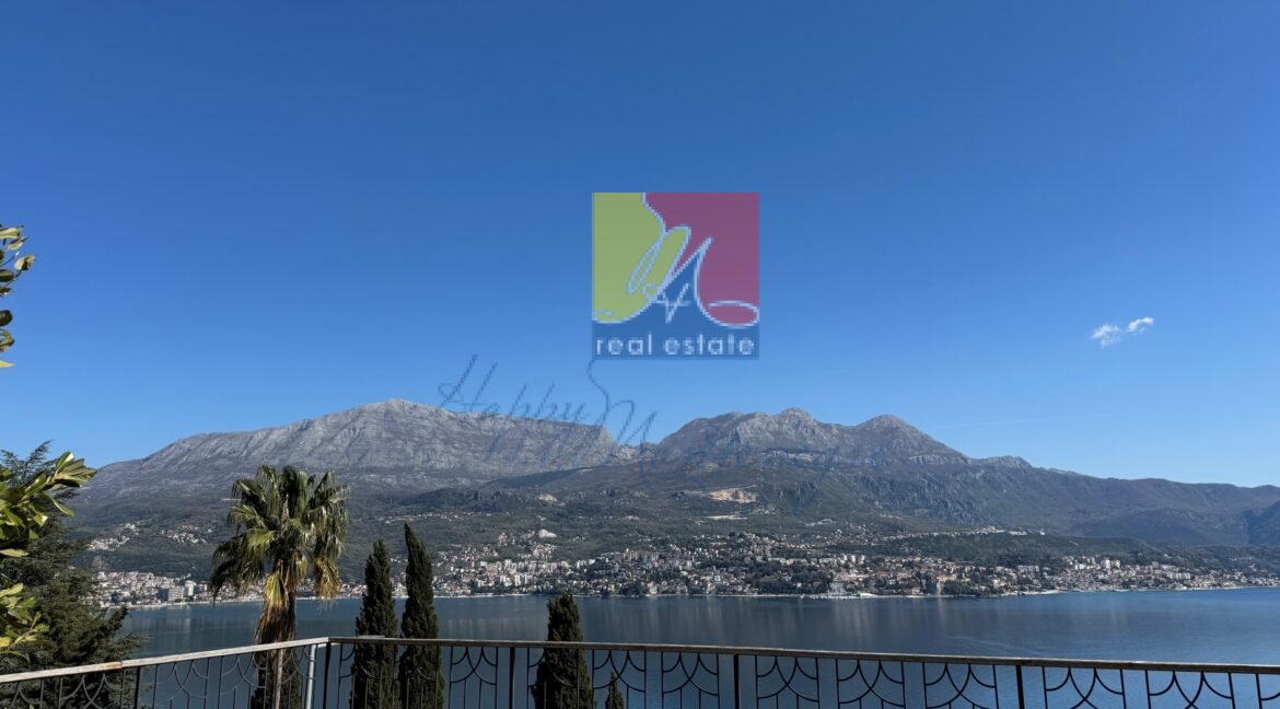 villa in montebegro_ Happy Montenegro real estate agency in Montenegro13