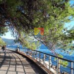 promenade by the sea with pines, Herceg Novi