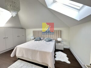 bedroom with ceiling window