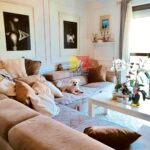 cute white dog on a sofa in the living room with posters on the wall, white coffee table with flowers