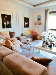 cute white dog on a sofa in the living room with posters on the wall, white coffee table with flowers