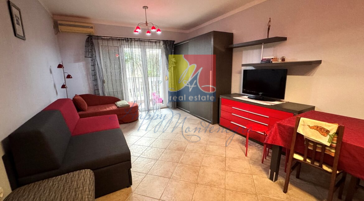 apartment_happy_montenegro_good_price3