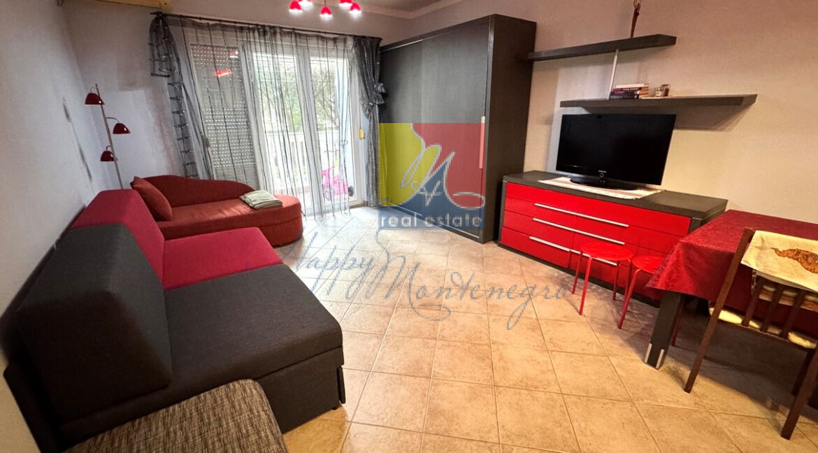 apartment_happy_montenegro_good_price4