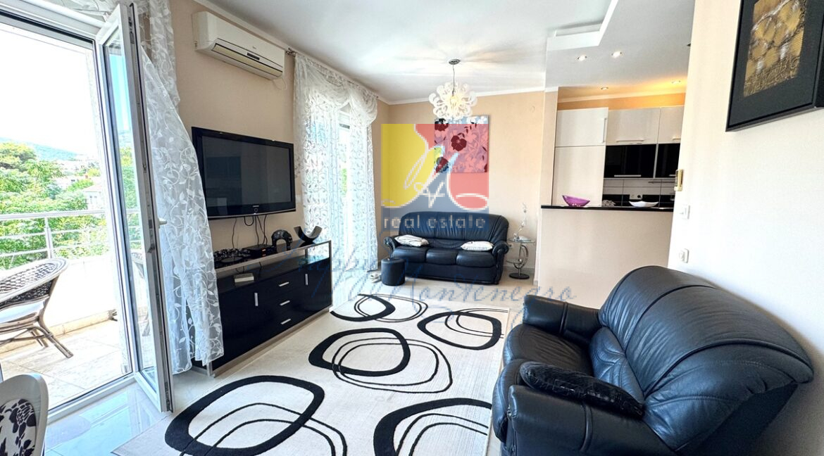 property in montenegro happy montenegro apartment12