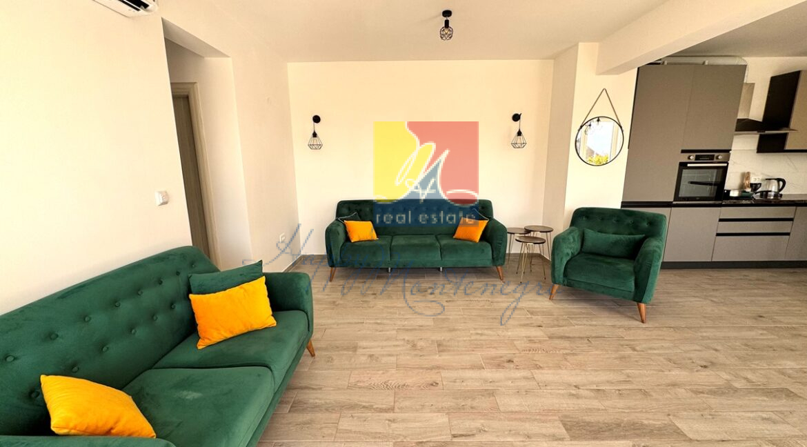 happy montenegro property apartment in Montenegro11