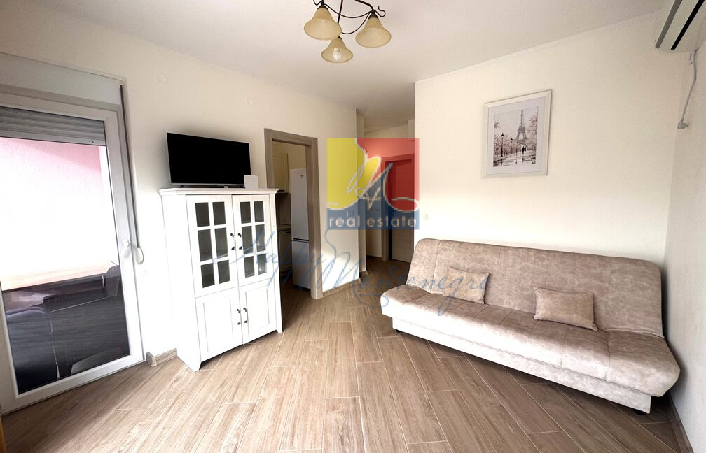 Happy Montenegro apartment by the sea15