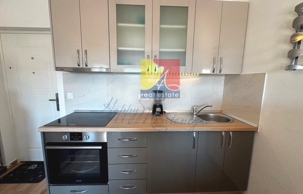 Happy Montenegro sea view apartment01