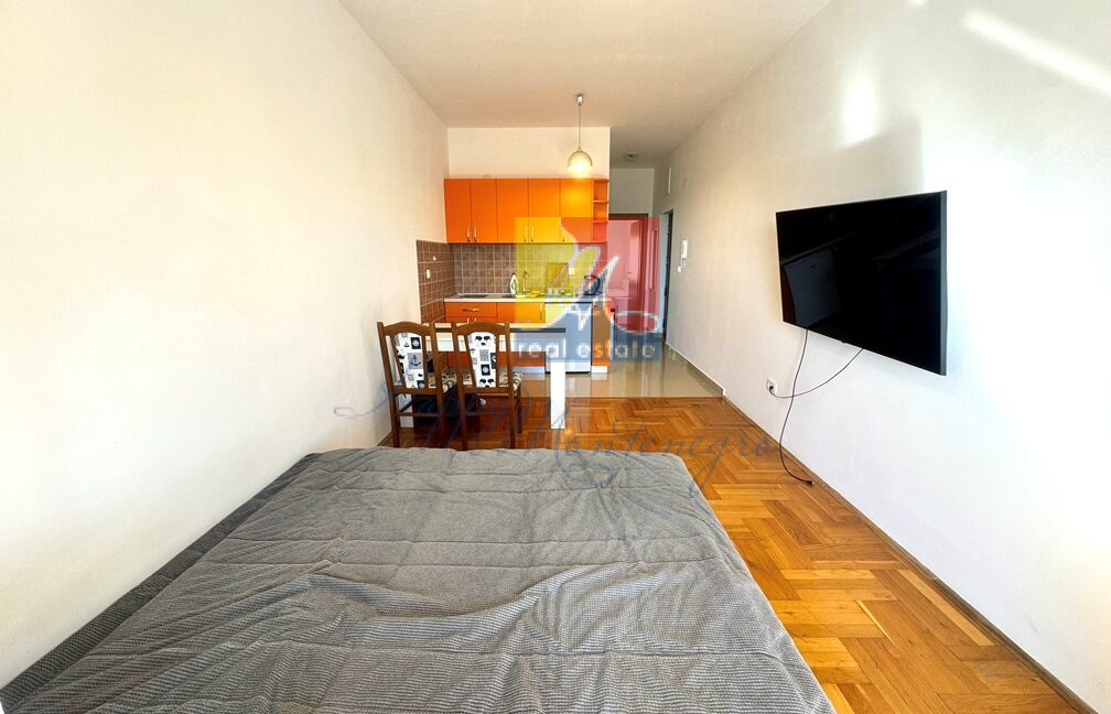 Happy Montenegro sea view apartment11