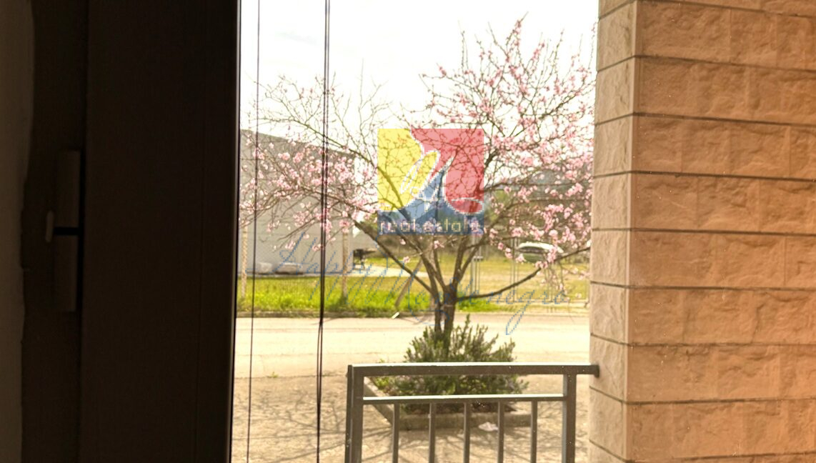 property Happy Montenegro4