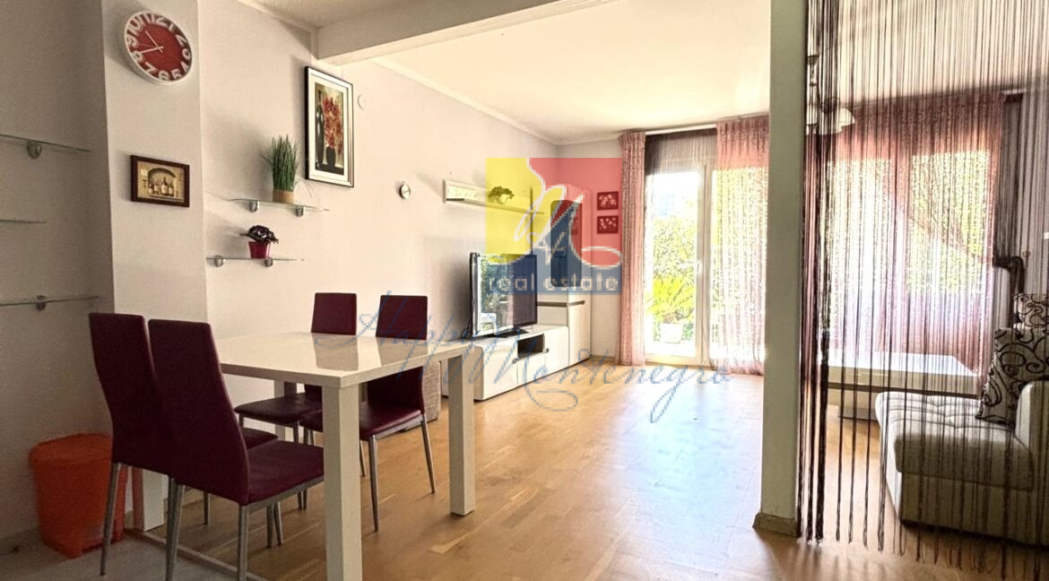 Happy Montenegro apartment01