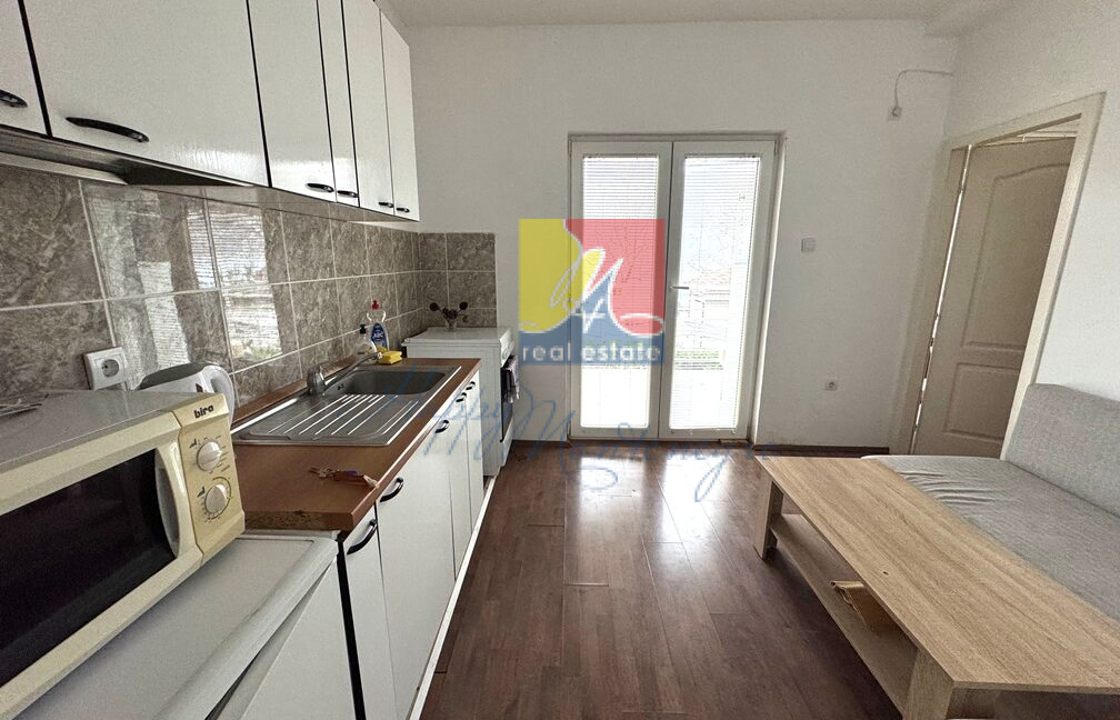 Happy Montenegro flat on the sea04