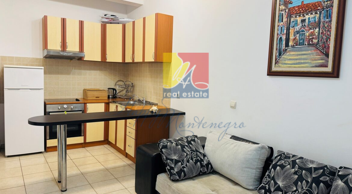 best property in Happy Montenegro real estate agency18