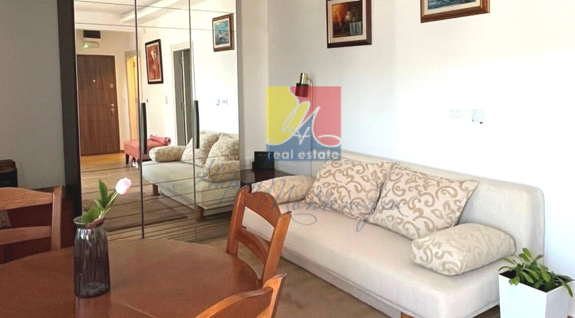 Happy Montenegro sea view flat15