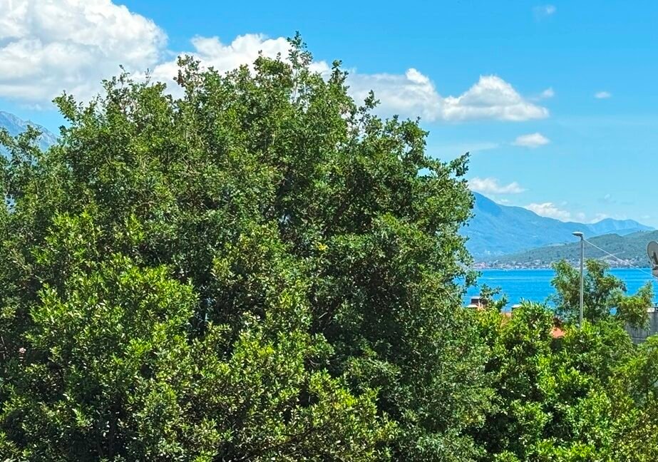 Wohnung am Meer in Herceg Novi, Happy Montenegro01